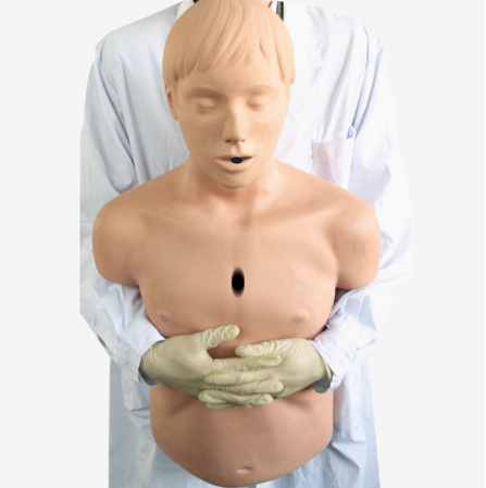 <b>高级成人气道梗塞及CPR模型</b>