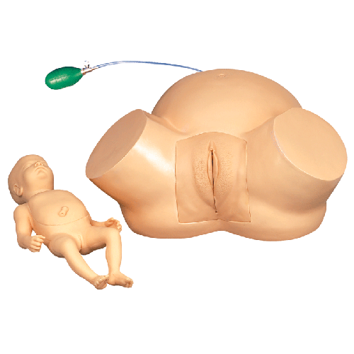 高级难产示教训练模型