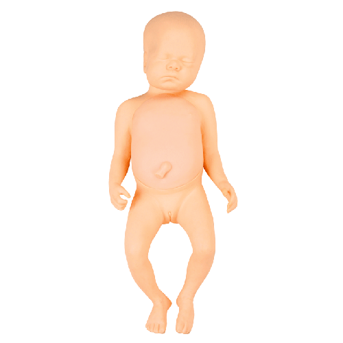 <b>高级足月胎儿模型(男婴、女婴任选)</b>