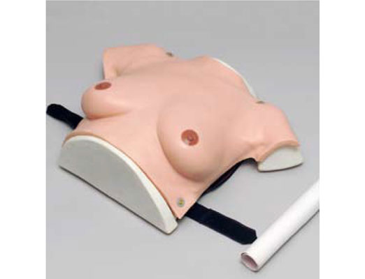 <b>高级着装式乳房自检模型</b>