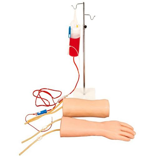 手部、肘部组合式静脉输液（血）训练模型