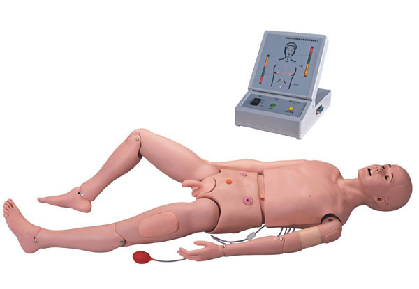 <b>高级成人护理及CPR模拟人</b>
