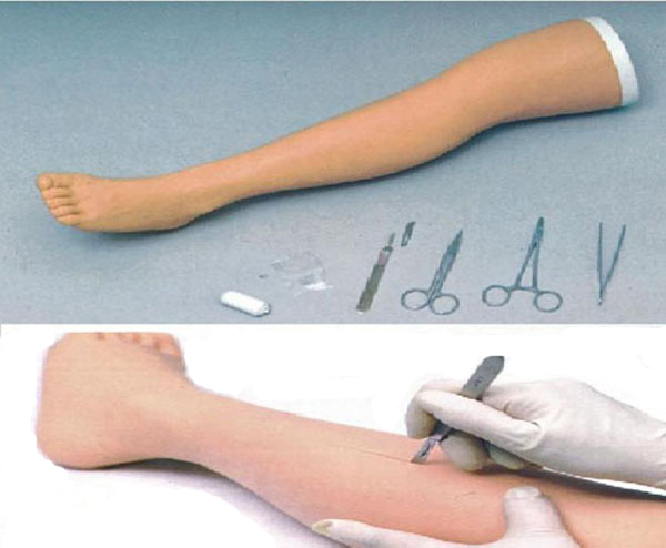 <b>高级外科缝合腿肢模型</b>