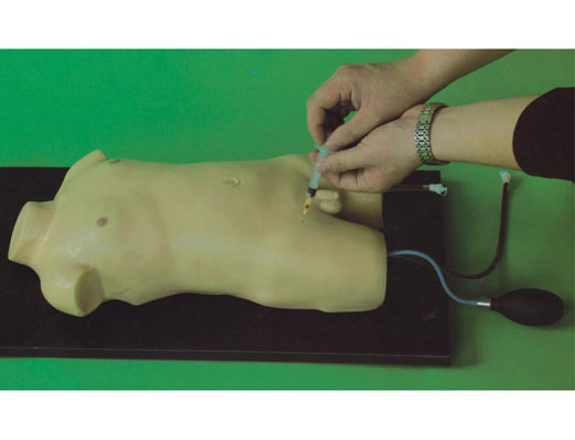 儿童股静脉与股动脉穿刺训练模型