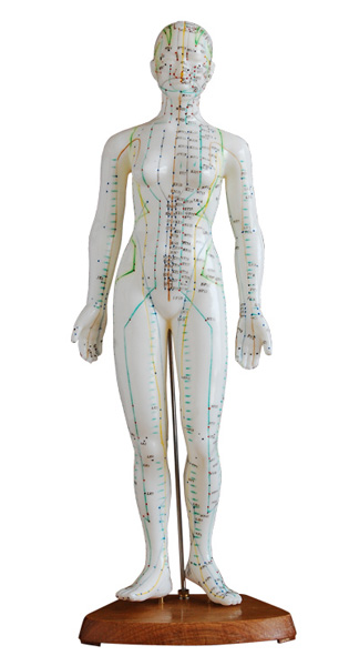 人体针灸模型(女性)高48cm