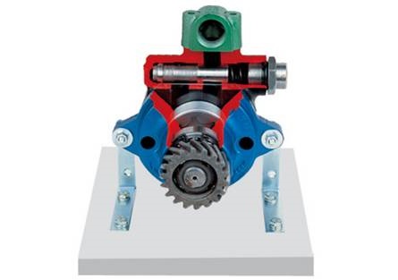 转子泵(卡车)解剖模型