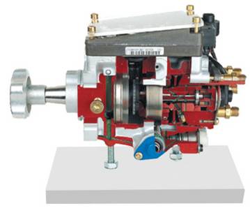 <b>Vp44径向活塞分配泵解剖模型</b>